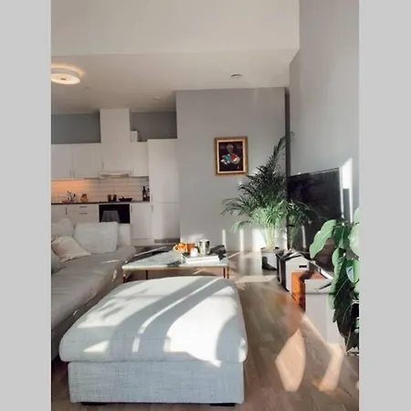Ralekker Fabrikkleilighet Oslo
